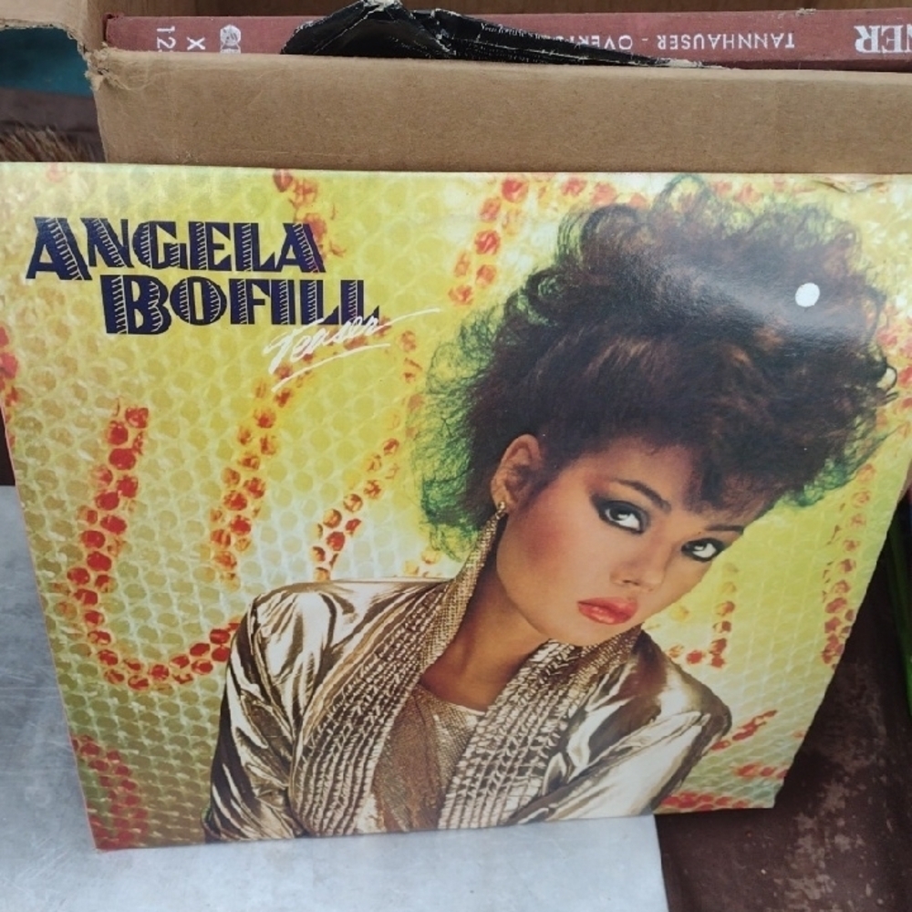 Angela Bofill Vinyl Record